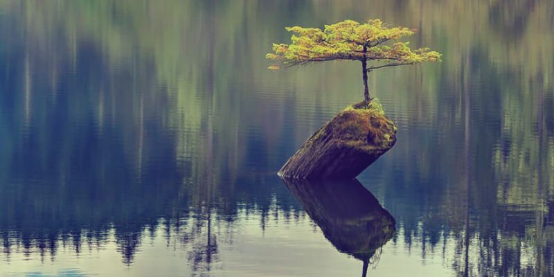 witproject40's tweet photo. Find out what makes a person #resilient and emotionally strong, plus how beneficial it can be for you! Read more: https://t.co/EIfxdRhx5X
#WITProject40 #Resiliency #happiness #Thrive https://t.co/I5gl1QYYU5