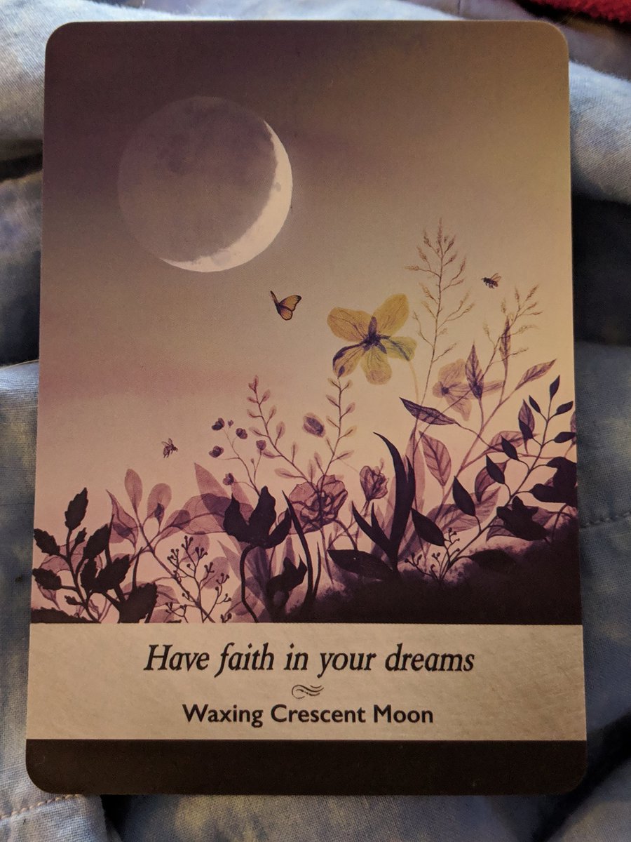 merikay's tweet photo. When the Universe still won't let you give up. Thanks, Universe
#NaNoWriMo #NaNoWriMo18 #amwriting #amnanoing #witchywriter #witchytwitter #moon #oraclecards https://t.co/xFhhSImVkQ