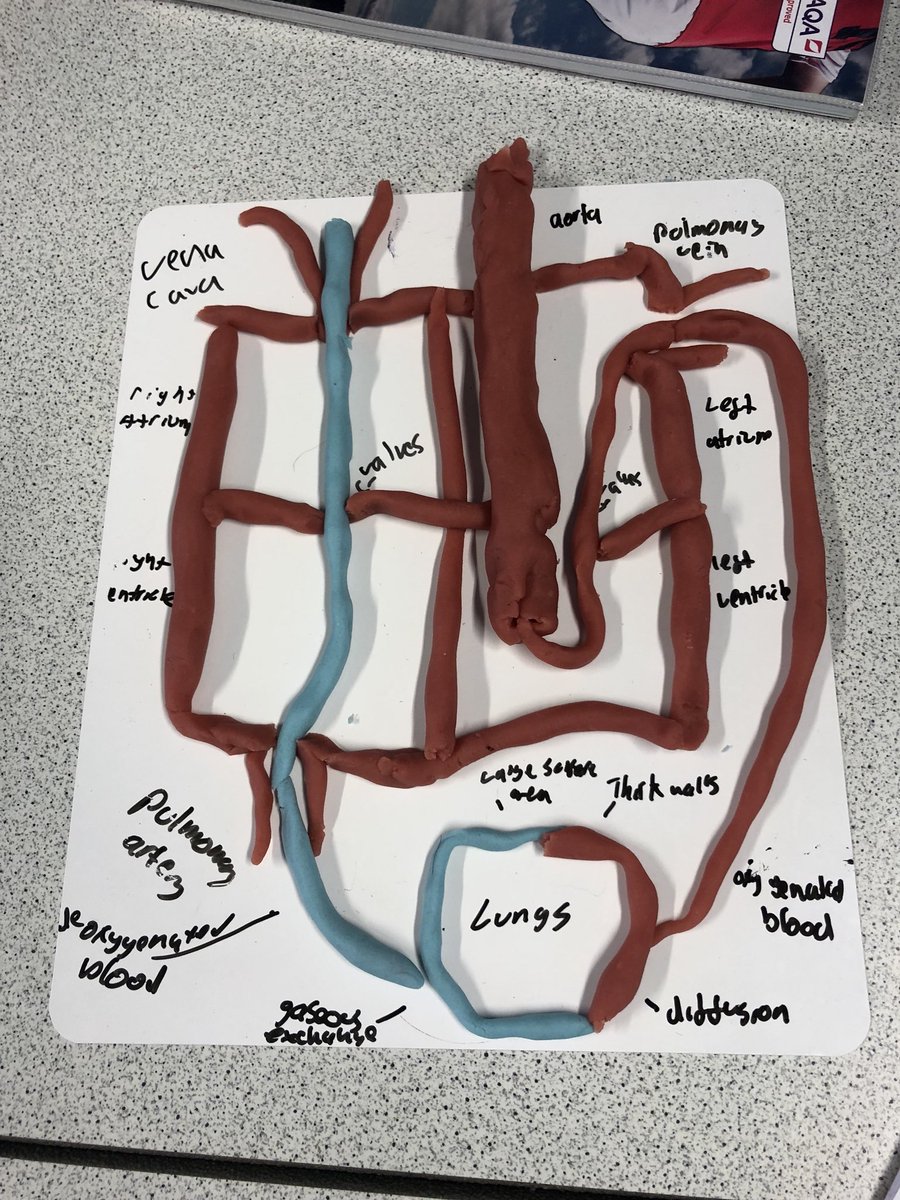 QEHSPE's tweet image. Fantastic work by the Year 11 Sport Studies group today #AQAGCSEPE