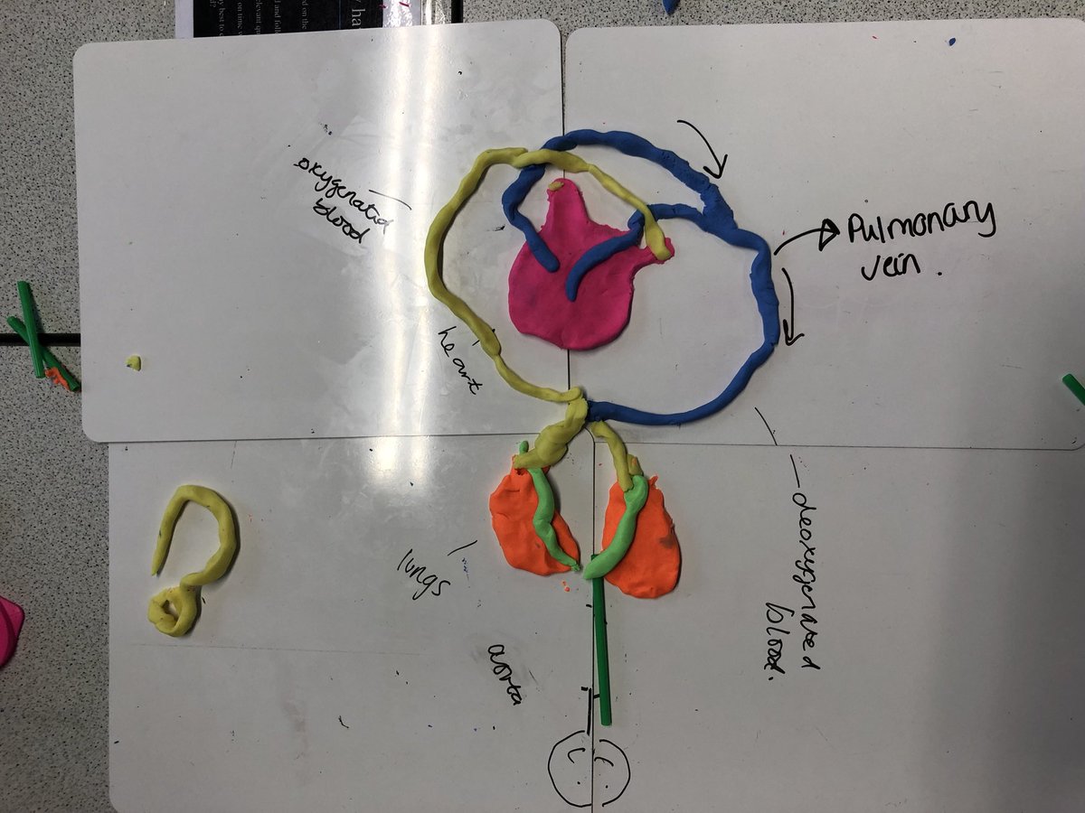 QEHSPE's tweet image. Fantastic work by the Year 11 Sport Studies group today #AQAGCSEPE