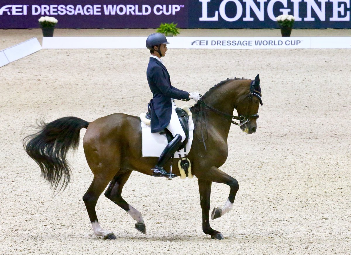 Juan Matute Guimón tweet media