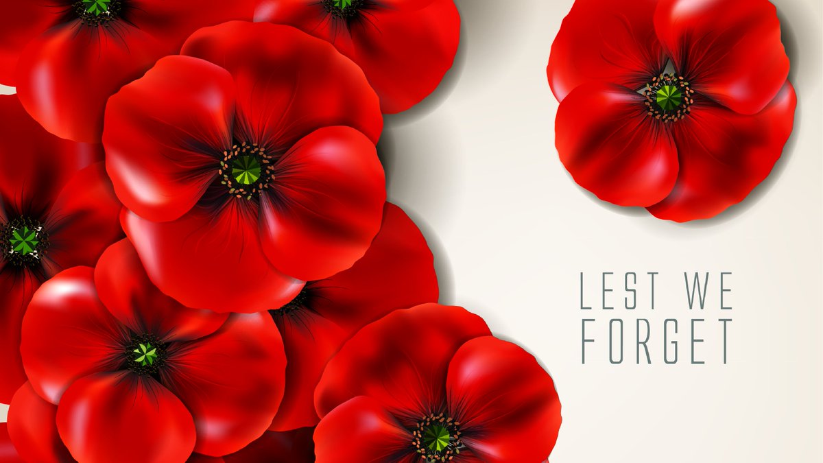 Help Us Honour Our Nation’s Heroes
Please join us in honouring our area’s military veterans both past and present, with recognition in our upcoming Remembrance Day Issue. 
To participate, please call 780-962-9228 or sales@com-voice.com. Look for your copy online and in print.