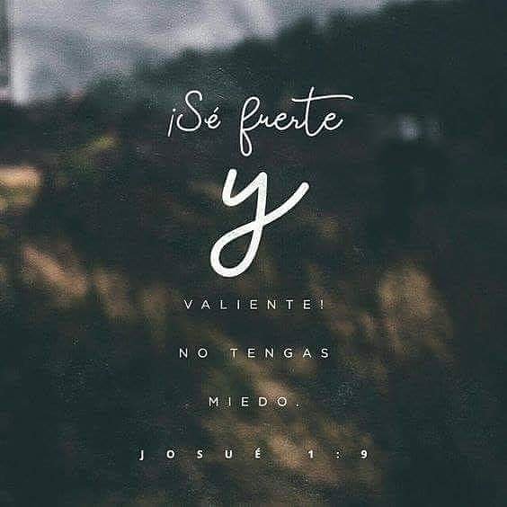 Mextaco (@mextacohonduras) on Twitter photo 