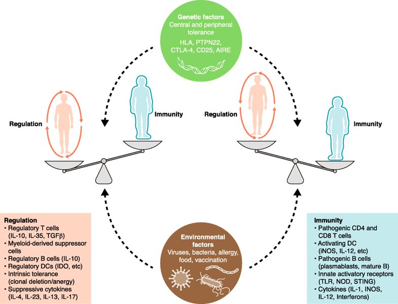 pdf brain dynamics synchronization and activity patterns in pulse coupled neural