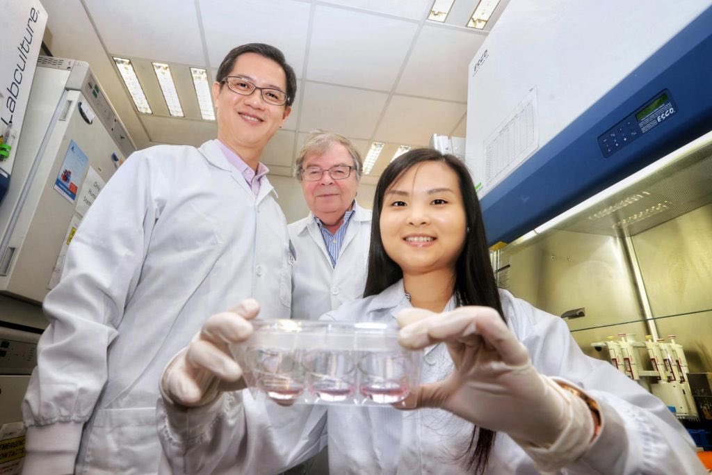 Human protein being used to grow new skin for burn patients in faster method str.sg/o7TB
Congratulations to Prof Karl Tryggvason and Team #DukeNUSMedicalSchool

⁦#improvinglives #medicalphilanthropy
#TanotoFoundation Professor of Diabetes Research
#SingHealth