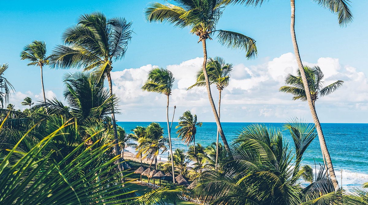 IberostarPT's tweet photo. Acordar com um visual desses deixa o dia ainda mais agradável. #IberostarBahia https://t.co/OdmoYZgYm6