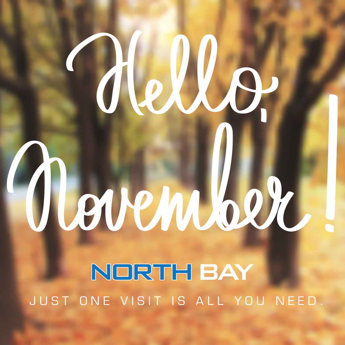 NorthBayCBG's tweet image. With the new a month comes new opportunity.

Discover our Season's Best offers: bit.ly/2AG4RjF