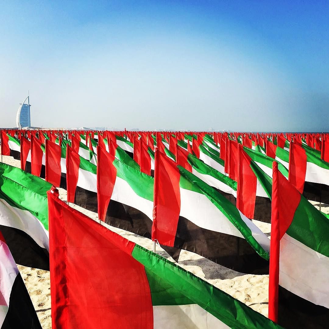 Happy #Flagdayuae🇦🇪 !