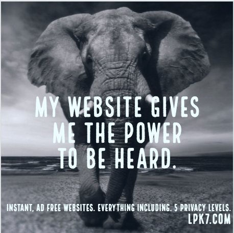 iNterGine_'s tweet photo. #STARTUP next week with a new #website that does everything U want it 2 do. [https://t.co/kU5QHRElHe]
No #hiddenfee's. #NoCoding. #NoProblems.

#businessintelligence #marketingstrategy #SearchEngineOptimization #smallbusiness #ThursdayMotivation #ThursdayThoughts #rt #news #PWA https://t.co/tlPat9KxlW