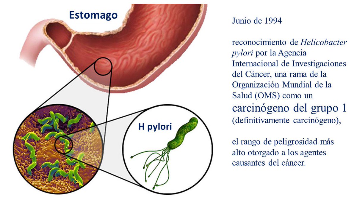 Efectos secundarios de la bacteria helicobacter pylori