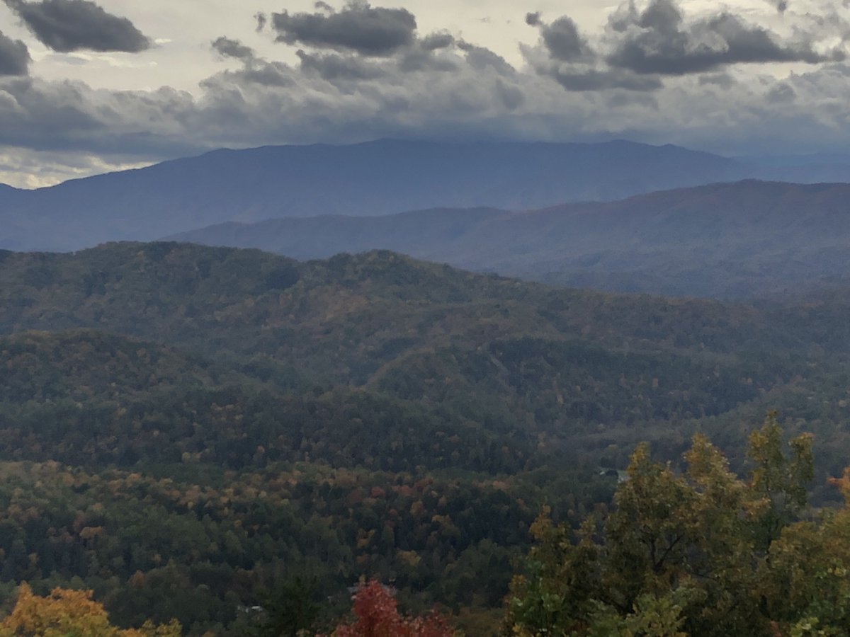 The view from the Shell Mtn job today. Finally starting to look like fall.