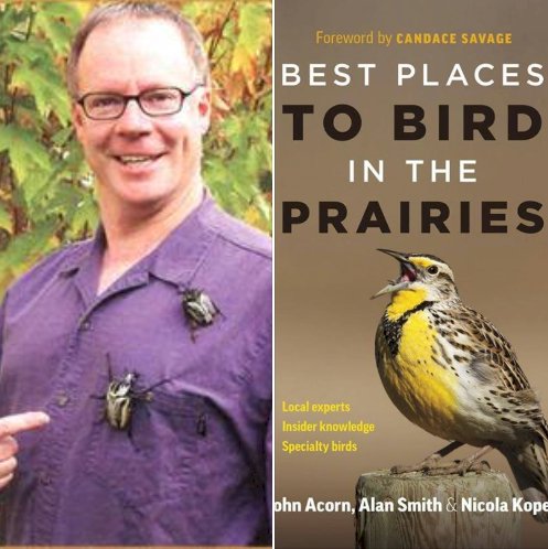 wbuedmonton's tweet photo. Meet John Acorn, "The Nature Nut"
Hear John's talk about the Edmonton Christmas Bird Count &amp; Get a Signed Copy of his latest book. Sat Nov 17, 2018, 9:30-10:30 am Wild Birds Unlimited 12204-107 Ave Edmonton #yeg #birding @shop124street https://t.co/NAAXWuPacu