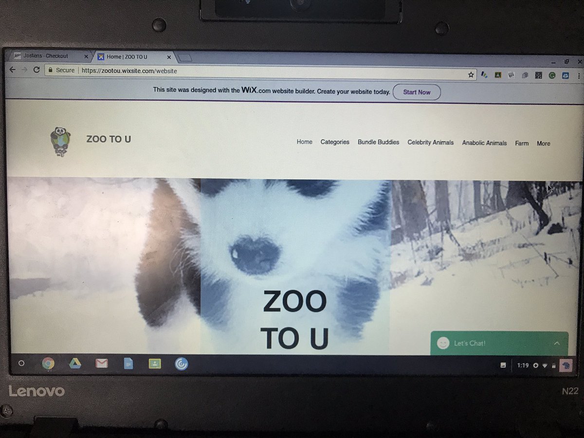 ZooToU's tweet photo. The website is up and running! Come and check out our animals for sale!!! Go to https://t.co/hcFtyN170J or find us on the vei portal! https://t.co/HPlKT6PIXR