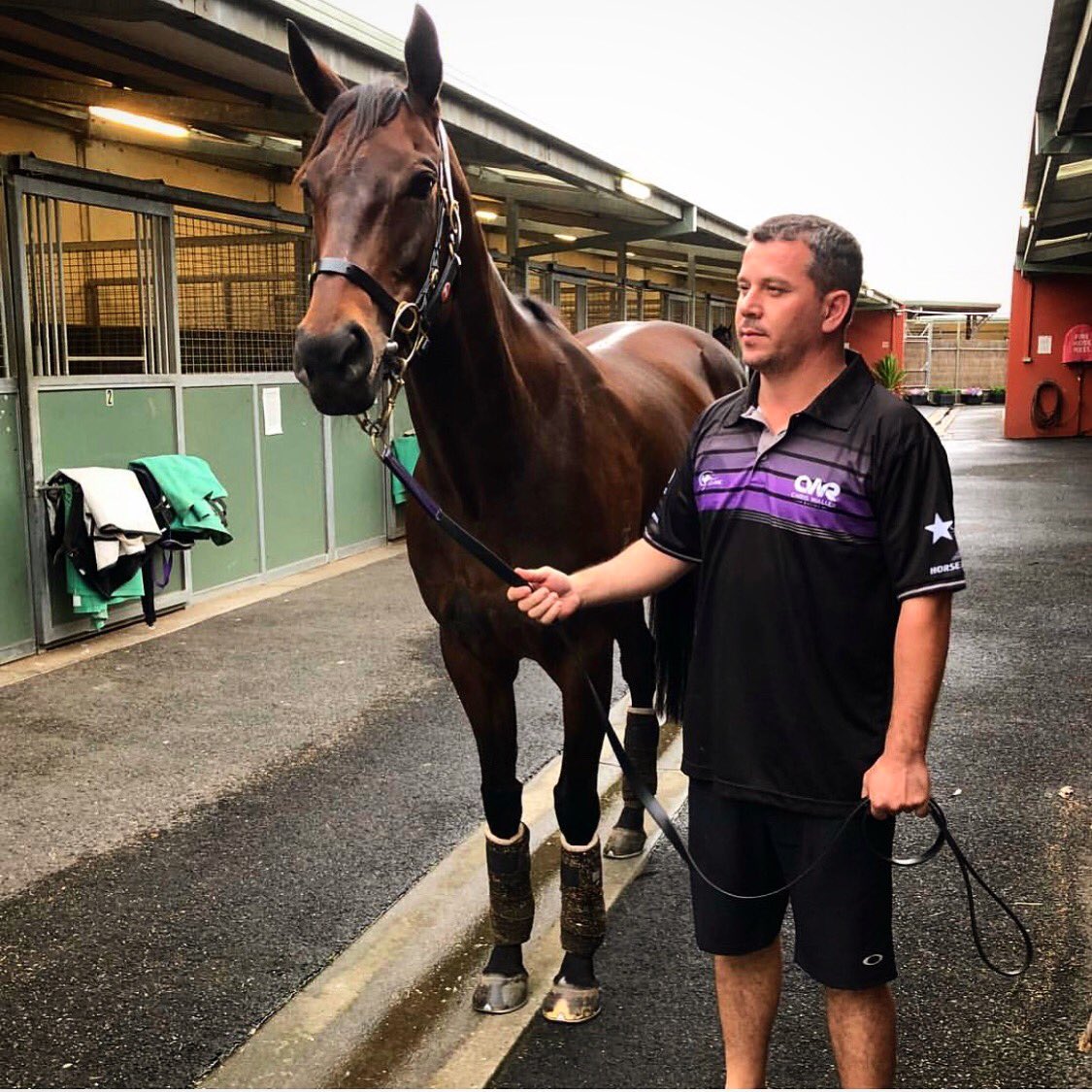 Ⓜ️🐎🇦🇺 WINX standing tall this morning with her strapper Umut and so she should be, she’s done us all proud! #winxhorse #gowinx // 📷 by <a href="/7horseracing/">7HorseRacing 🐎</a>