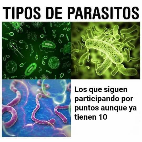 ۫ (@memedass) on Twitter photo 