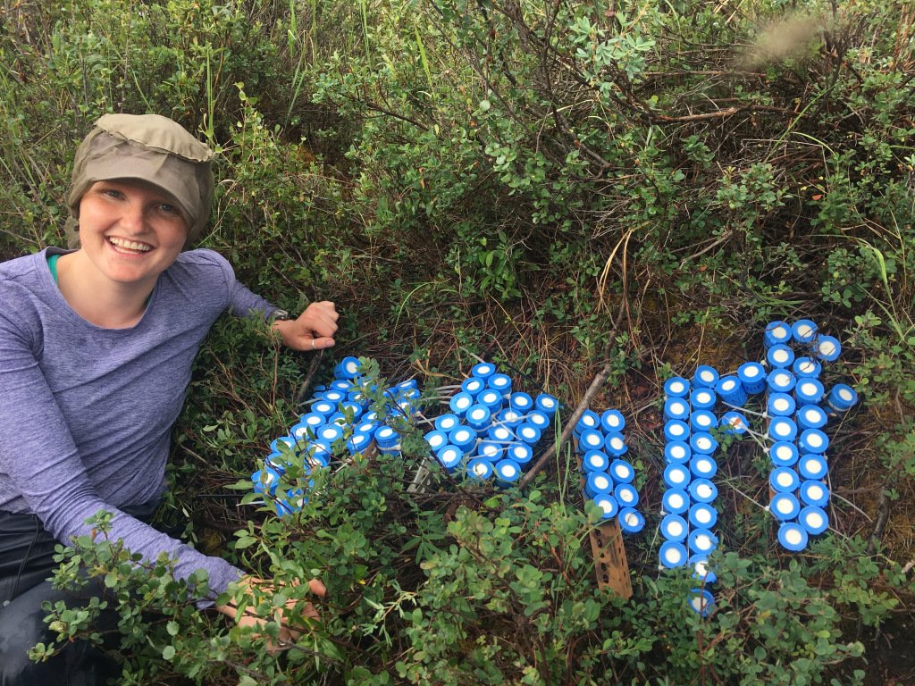 P in streams nothinginbiology.org/2018/11/01/p-i…