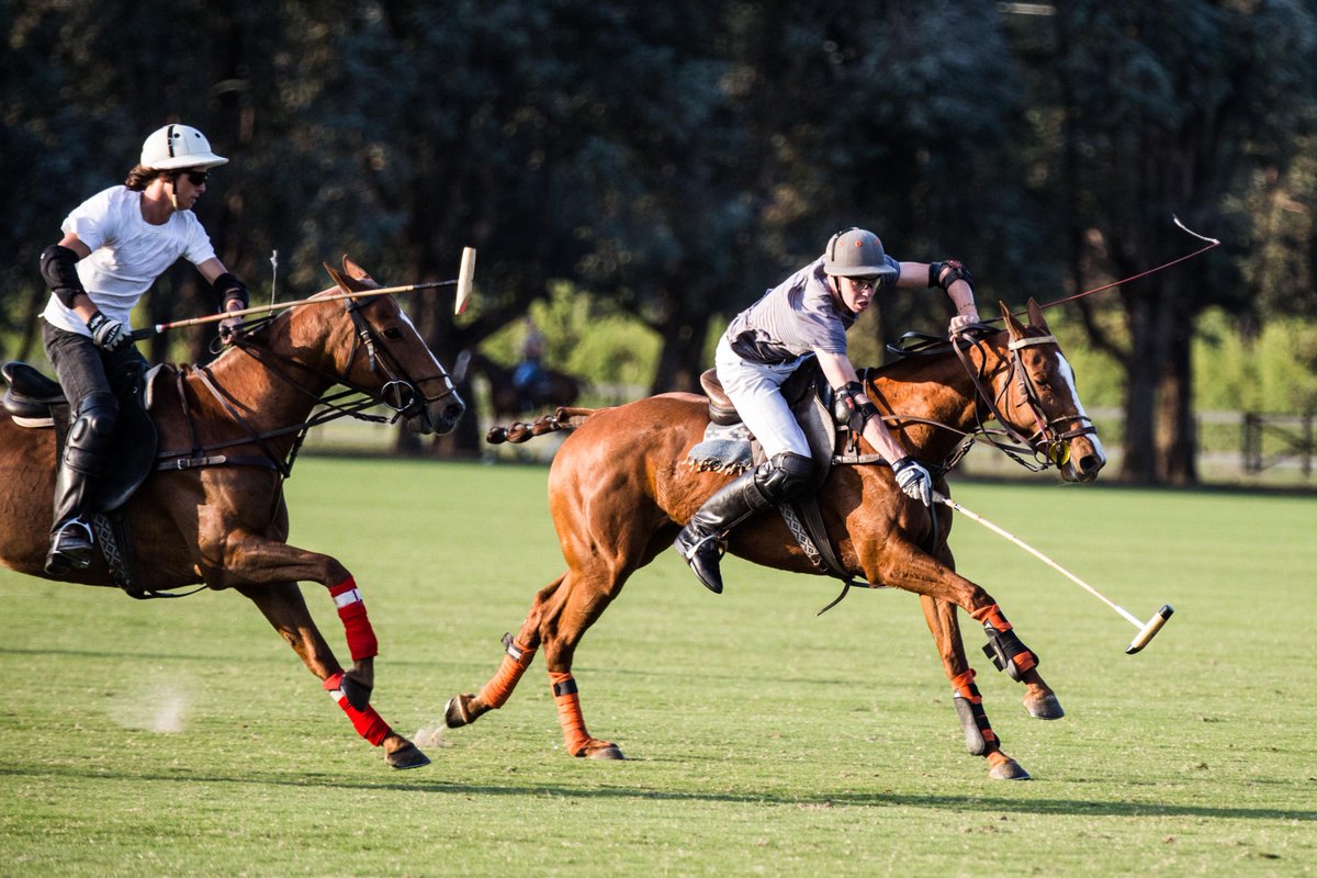 #Throwback to our first ever #APPL practice, back in September 2015! #FullSpeedPolo right from the start! 
<a href="/jerodelcarril/">Jero del Carril</a>