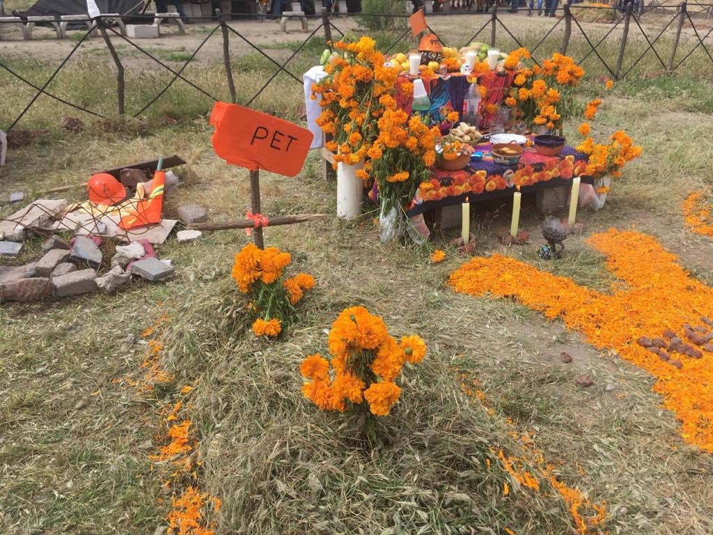 Integrantes del Programa de Empleo Temporal de las zonas aledañas al Nuevo Aeropuerto, encargados del rescate de la flora y fauna celebran el Día de Muertos.