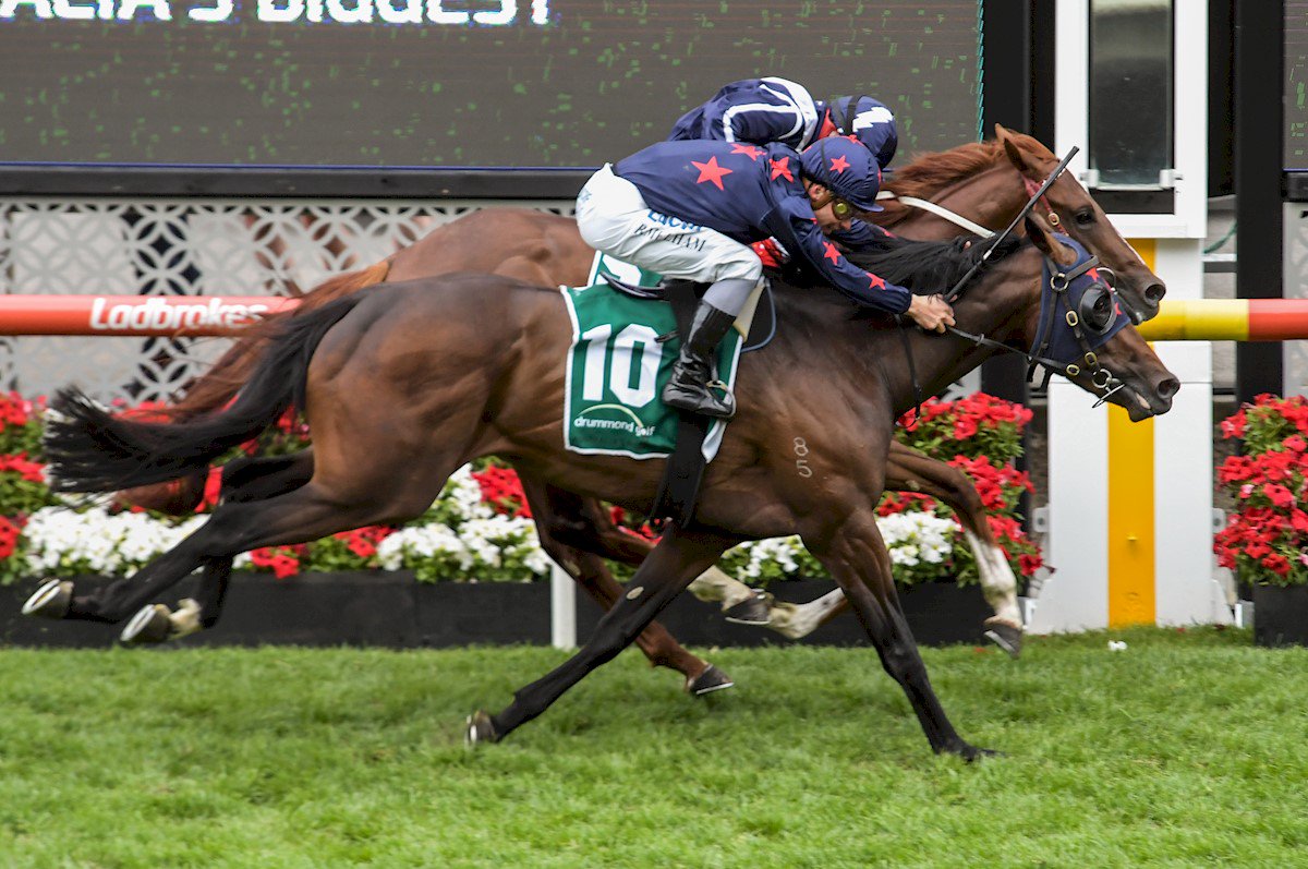 The new Star for Sun Stud’s Fiorente...Sun Stud’s Melbourne Cup hero Fiorente (IRE) chose a good time to record his first stakes-winner when Robbie Laing’s Derby bound colt Stars Of Carrum broke his maiden in the Group 2 Moonee Valley Vase over 2040m.
tbv.com.au/the-new-star-f…