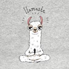 saucedo_analy's tweet photo. Llamaste 😂 https://t.co/TR5poSHE9h