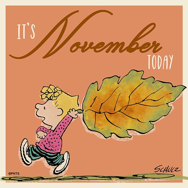 ALouiseLavalett's tweet photo. @SweeetMamaSue @NYCREMilton @spendharkar @RAndrewAuthor @CherubNation @mizzog48 @Tweetin2Win @johnflipside @NoorioZehra @SatterKim @sentii2013 @vernsanders @DianneD03113533 @crumbsgrill @mhall55nine @DrUmeshPrabhu @LoriShemek @enriquillo2 @Nikhil63870659 @PrachiMalik Happy new month Sue 🤗🌞🍂🍃🍁
#HappyNovember2018 https://t.co/6tB6F8js6n