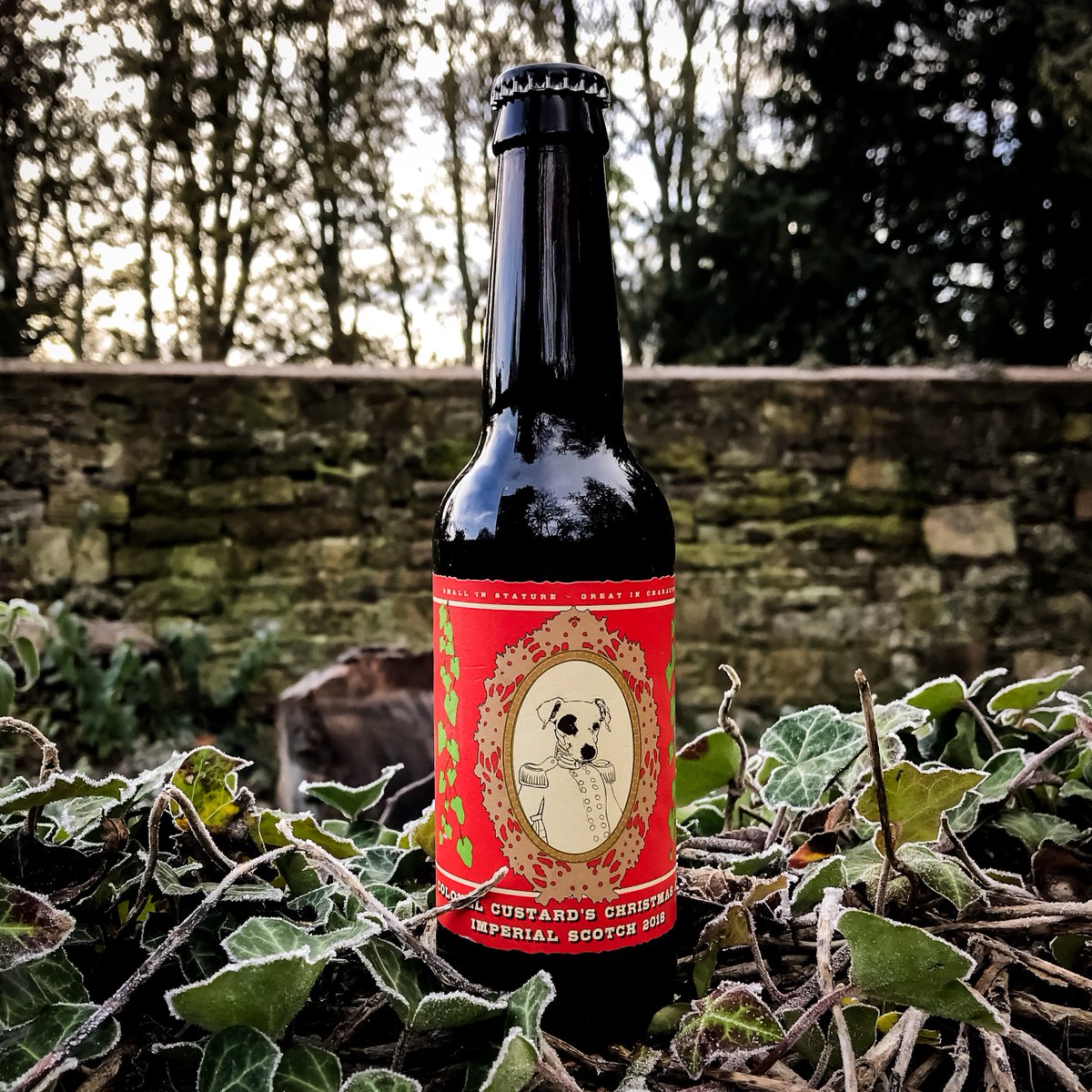 BlackIsleBeer's tweet photo. The first snow has fallen in the Highlands, just in time for our first annual festive release! Introducing 'Colonel Custard's Christmas Ale', a fine 9.2% Imperial Scotch Ale, in honour of our legendary  Jack Russell, Tusker (aka Col. Custard) https://t.co/afF6AB5kjI #festiveale https://t.co/5zjNvZL4jW