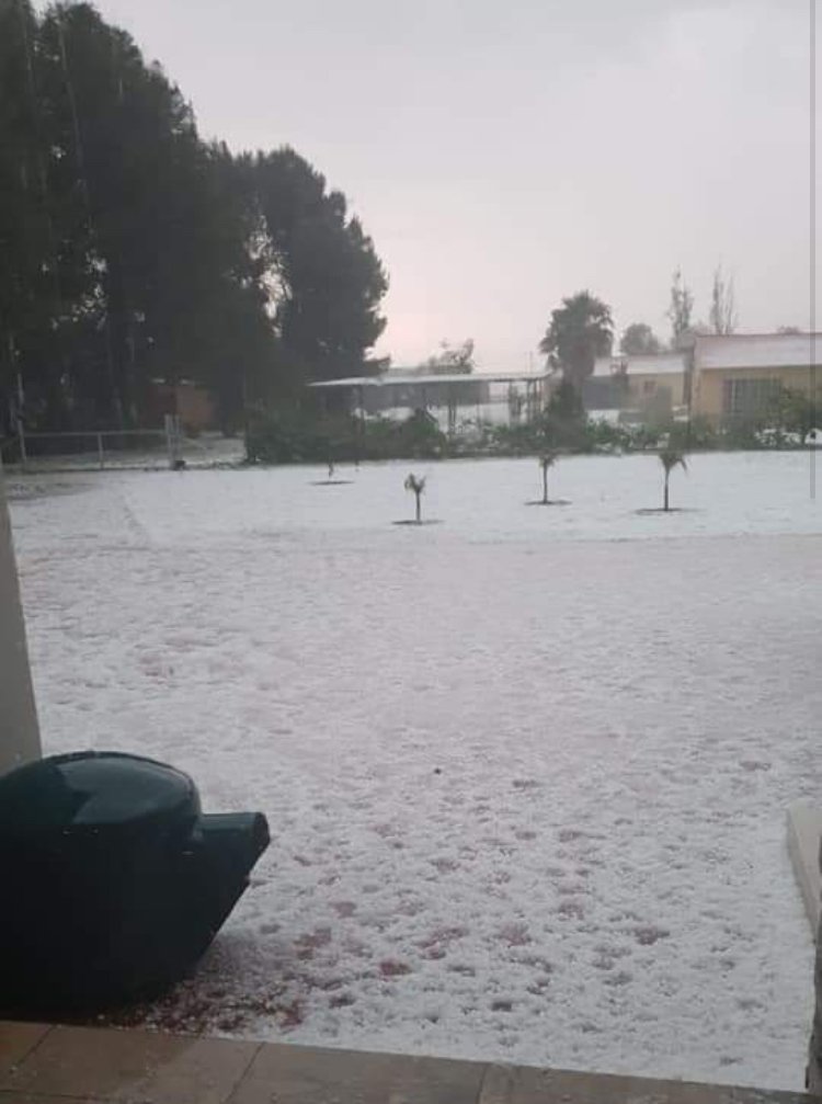 Entire farm ‘wiped out’ by today’s hailstorm in Randfontein/Tarlton area, owners say. All crops destroyed | 📸 Melissa &amp; Miguel Gonsalves