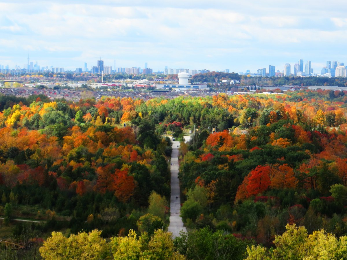 frwatershed's tweet image. Today marks the end of #DaylightSavingsTime!  How are you spending the extra #FallBack hour?  We'll be resting up and enjoying the autumn weather in preparation for our final stretch of fall plantings!  #FallTO #RougeNUP