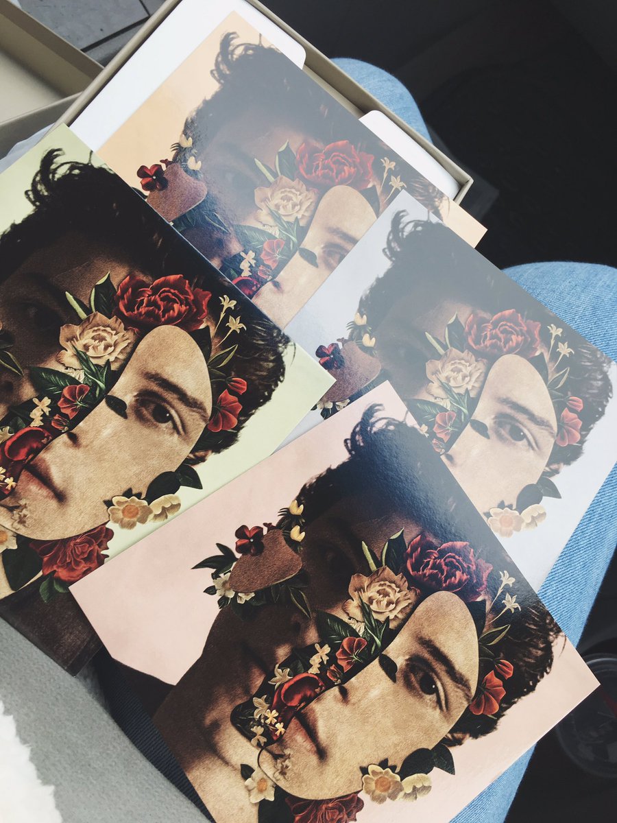 Iunatico_feliz's tweet image. rt to win a copy of Shawn Mendes : The Album , a polaroid, a collectible art card and a guitar pick 💛

- mbf 
- picking winner randomly
- sending it before christmas 

@ShawnMendes