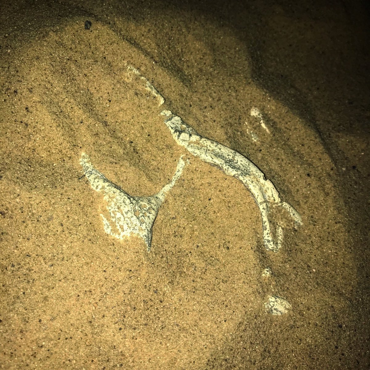 Escape Proving Ground (EscapeProvingG) Twitter