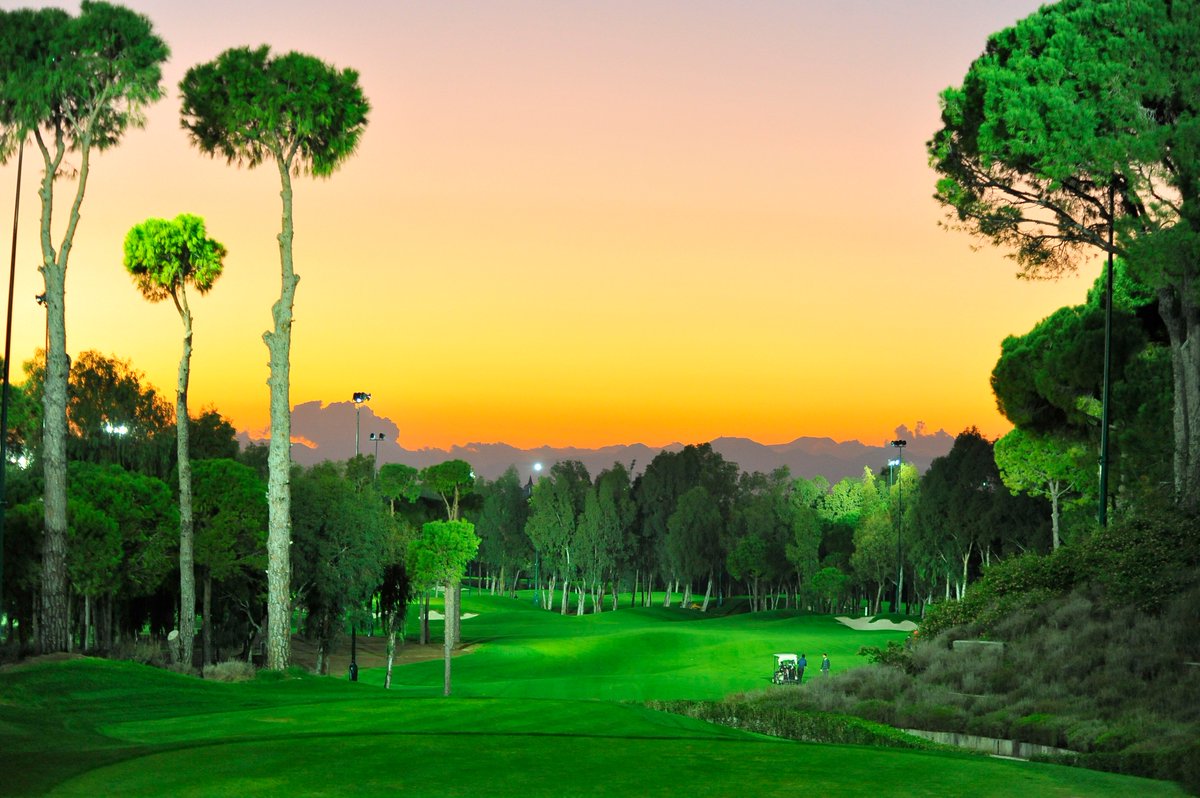 belekgolfturkey's tweet photo. Regnum Carya Golf 7 Nights Unlimited Golf Carya and National Golf Courses Belek
https://t.co/q9wclZu3Ft
#Golf #Regnum #RegnumCarya #Carya #TurkishairlinesOpen #TAOpen2018
#Belek #TurkeyGolf #BelekGolf #Golfers #National #GolfHoidays #golfing #visitantalya #alexagolf https://t.co/DVz3uiMJb0