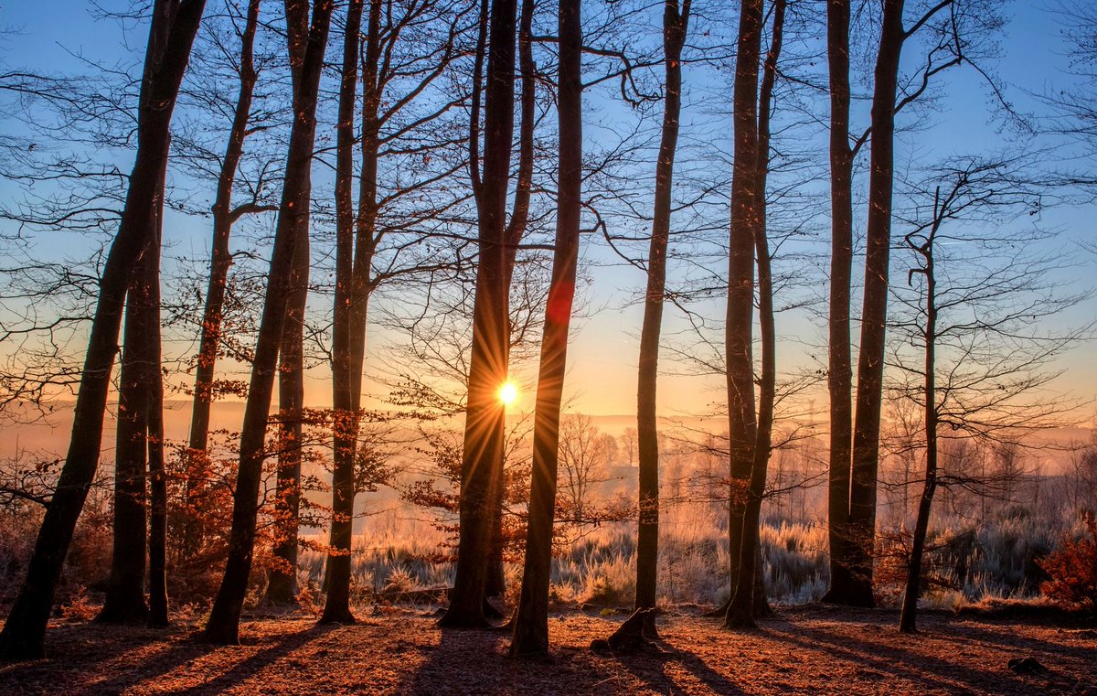 PathElements's tweet photo. Earth is stable, predictable, grounding, and orderly in its movement. Earth likes structure, commitment, and planning for the long-term.
#PathElements #Elements #Earth #Ground #Growth https://t.co/De19DizkyR