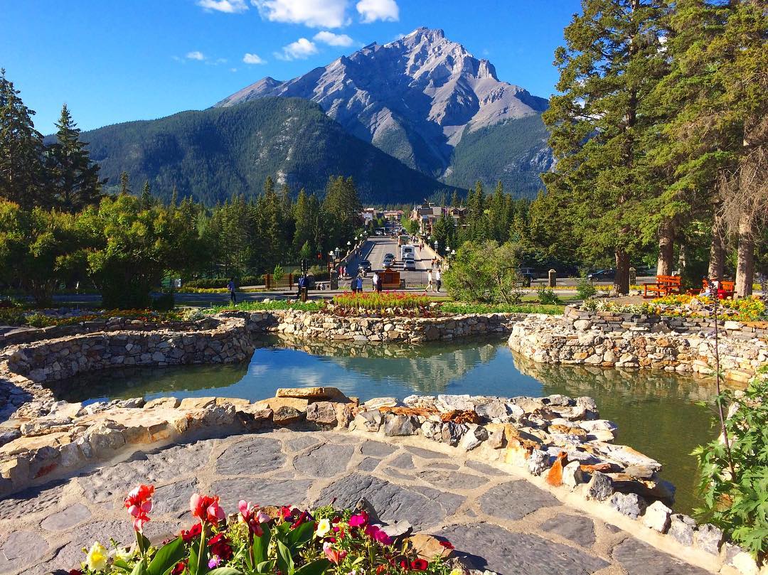 Rocky Mountaineer tweet media