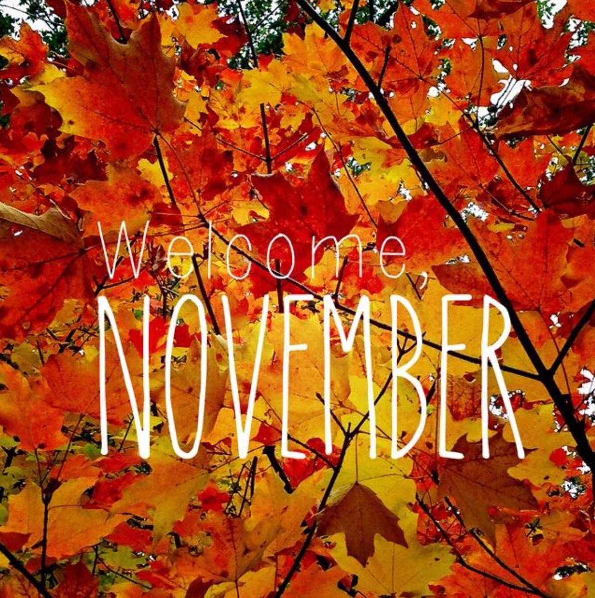 Wow ... November already?! Welcome back 🍁🦃 #November2018