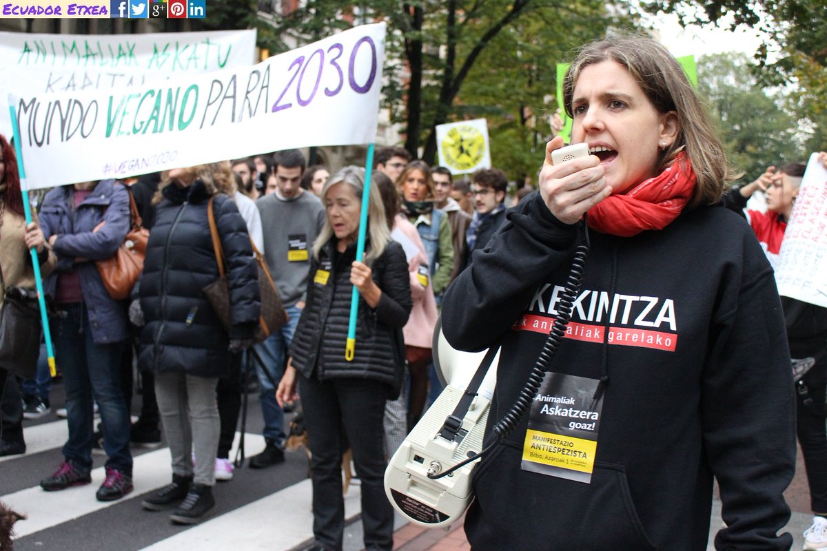 EcuadorEtxea's tweet photo. Manifestación antiespecista en #Bilbao exige respeto y libertad para todos los animales 01/11/2018 https://t.co/PXVdteaWMP #A1Antiespezista @NORantiespezist @Animalistak  @RAntiespecistas https://t.co/9CRvYx2gGv