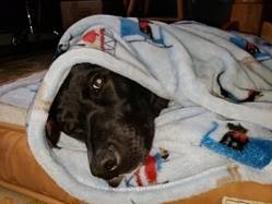 NHGCD's tweet photo. Weekend to do list: 1. Snooze extra hour on Sunday (clocks
change). 2. Check out https://t.co/0qLUMmY0tN. @PICofNH @CSNI_NH @ComPartnersNH @NHTIHealth @GMMH_NHS @DartmouthHitch @HarvardPilgrim @NortheastDelta @NHStateParks @NEANHNews #DaylightSavingTime #StableNH #Disability https://t.co/QLJ3zDn4GI