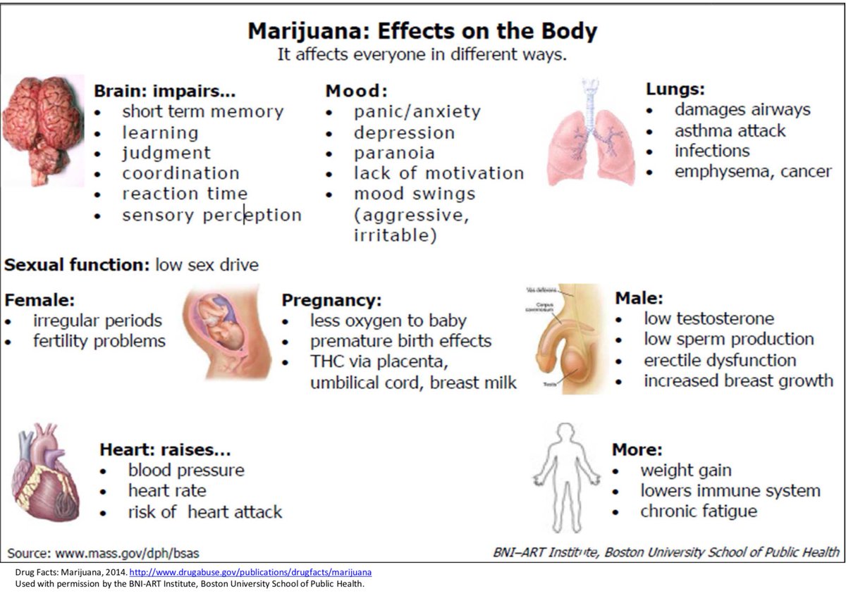 effects-of-marijuana-and-sperm-production-very-very-video