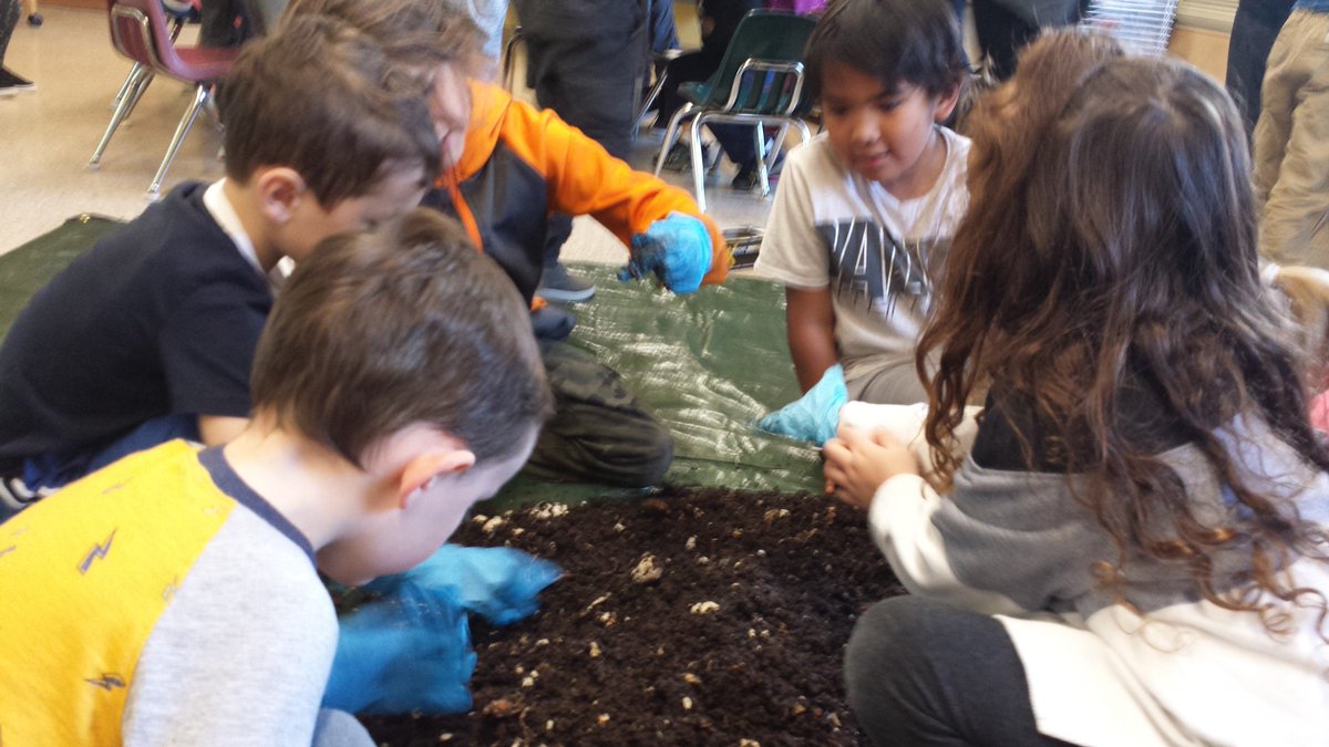 KatieHara2's tweet photo. Many of our Holy Angels students enjoyed a beautiful November 1st  #OutdoorClassroomDay with some nature scavenger hunting, magnify glass mini nature exploration, predator and pray tag, and a bit of hiking. #HASLearns We followed up with some worm composting. https://t.co/mHpoKmXqQV