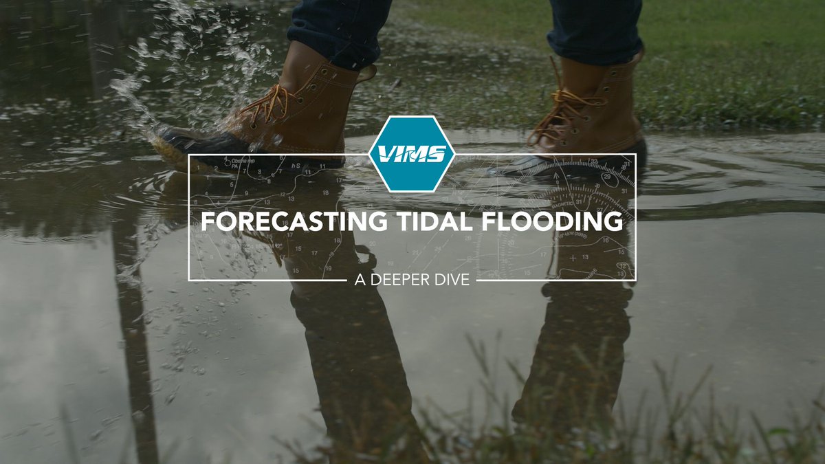 VIMS_News's tweet photo. WATCH: In our latest @VIMS_News #ADeeperDive video, learn how #Tidewatch is helping #Virginia residents plan ahead to handle #coastalflooding. https://t.co/mFCFCSiMWh #HamptonRoads #Flooding #ChesapeakeBay https://t.co/gxOgUv5Qfj