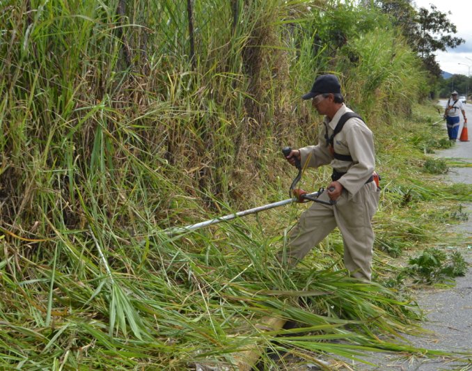 El trabajo de desmalezamiento y despeje de cunetas que se ha venido realizando por parte de la <a href="/_AlcaldiaMerida/">Alcaldía de Libertador Mérida</a> en algunos sectores se mudó para el sector El Playón tal como ofreciera en reciente visita el alcalde <a href="/alcidesmonsalve/">Alcides Monsalve</a> 

bit.ly/2yKhN6K  
#01Noviembre