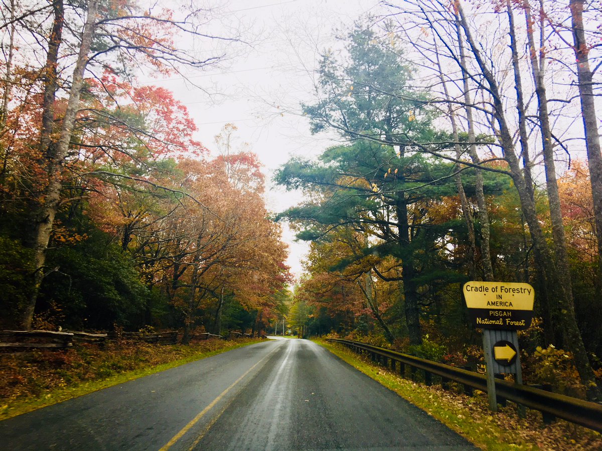 If we are being honest some commutes are better than others. Thankful for the opportunity to attend the City of Brevard's planning retreat held at the one and only Cradle of Forestry. @cradleofforestryinterpretiveassociation @beautifulbrevard #naturaladvantage #notaninterstate