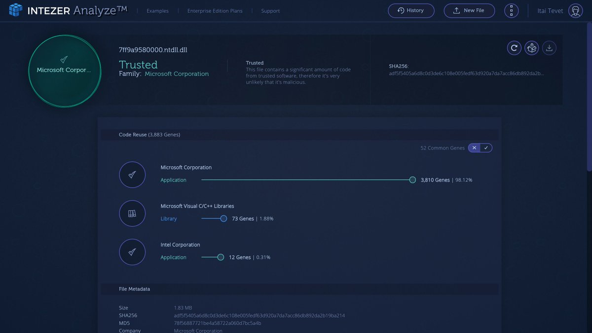 itaitevet's tweet image. @IntezerLabs analysis can also be used to quickly assess suspicious PEs dumped from memory using the PE-Sieve tool by @hasherezade.  #DFIR #infosec #memoryanalysis