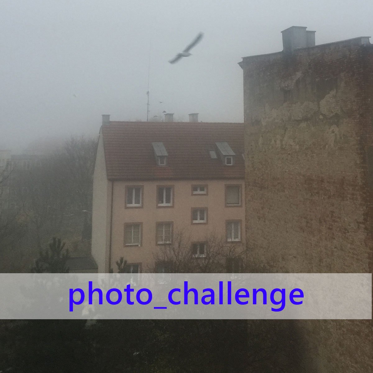 Blaue Ampel Group Of Artists Photography We Will Start A New Photo Challenge On Instagram On November 5th If You Want To Do It You Will Get The Hashtag