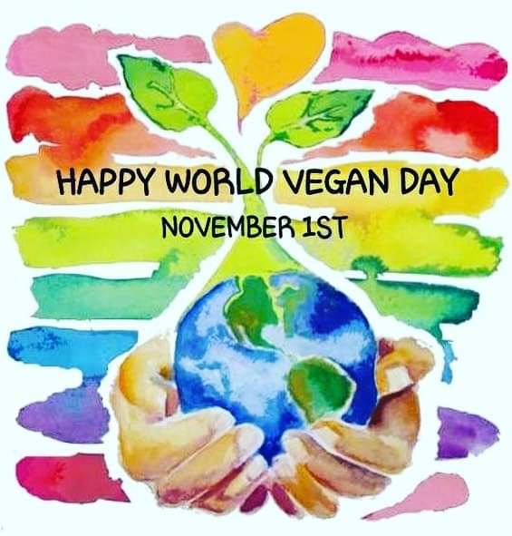Happy World Vegan Day! Tell us... what made you choose to go vegan?

#vegan #worldveganday