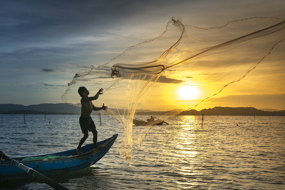 Big Fish on X: Video: ¿Cómo elegir una atarraya de pesca?   #TipsPesca  / X