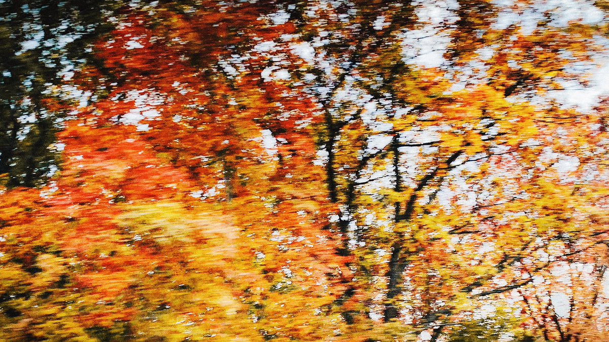 corbynbesson's tweet photo. it’s november https://t.co/UpNkeEjtfg