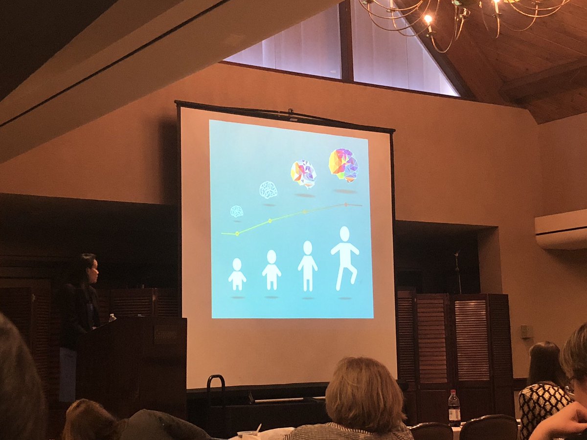 DrShuffrey's tweet photo. Great talks by @NatalieHBrito and @BridgetCallagh3 today at #ISDP2018 during the symposium on learning 🧠👶 #labladies https://t.co/b4StO6dhpU