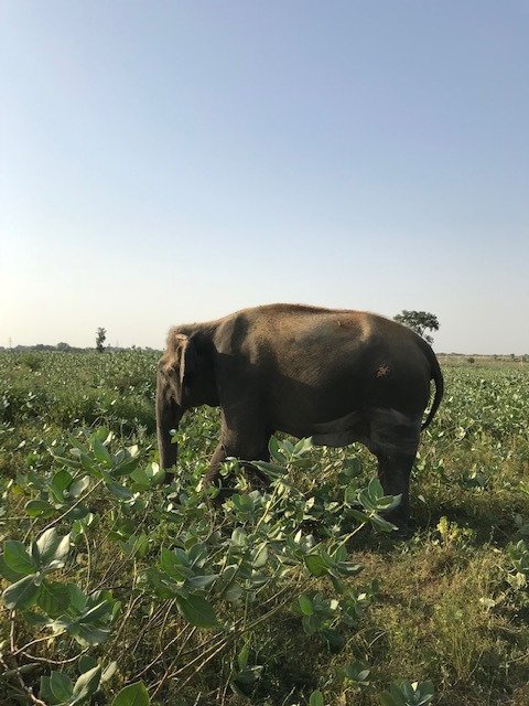 BannikinZach's tweet image. Why I #RefuseToRide 

bit.ly/2zkkz1P

#MakeTravelMatter