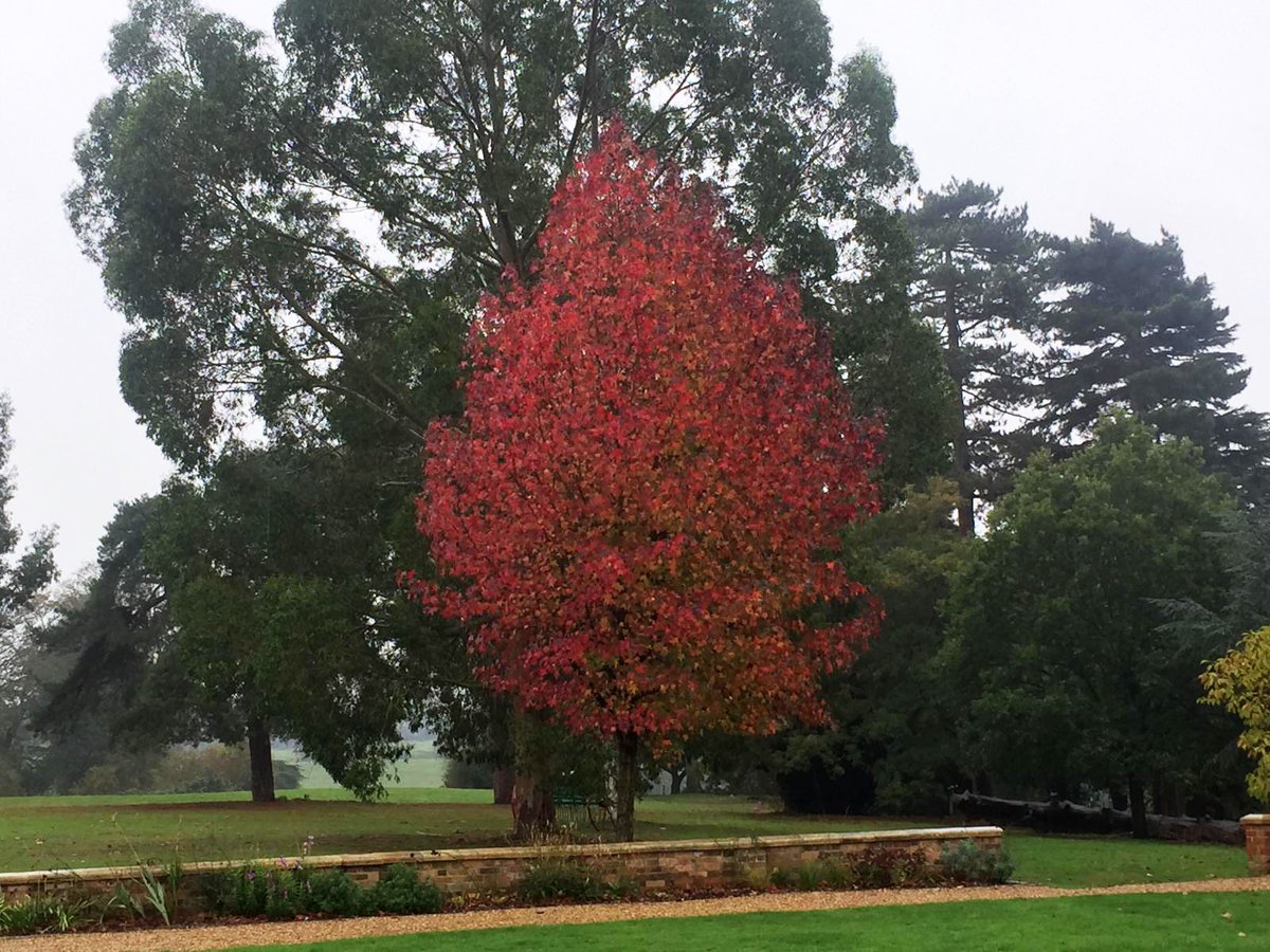 bericht vanuit de #opendialogue trainingslocatie in Engeland: "Binnen POD en de betekenis van spiritualiteit. Buiten regen en herfstkleuren." #podnl #podt18 <a href="/FSHerstel/">Herstelondersteuning</a>