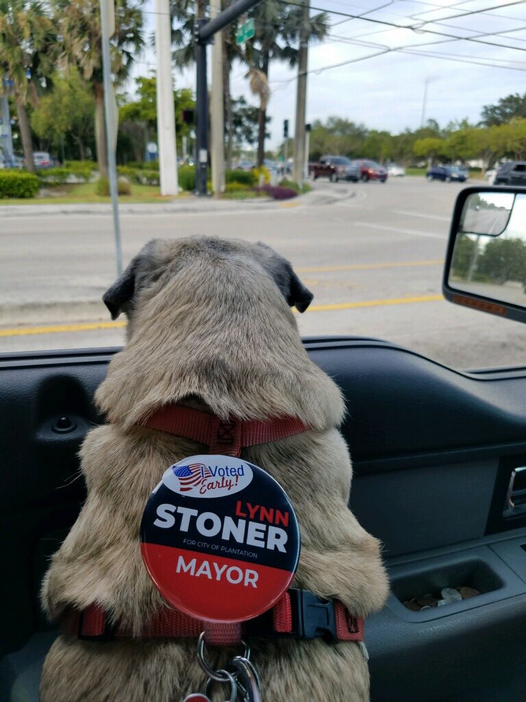 lynnstonermayor's tweet photo. Mimi just came from Early Voting!  Did you vote #LynnStonerForMayor?  Don’t forget to go Early Vote!  
🇺🇸🇺🇸🇺🇸🇺🇸 https://t.co/48MPYL2unD